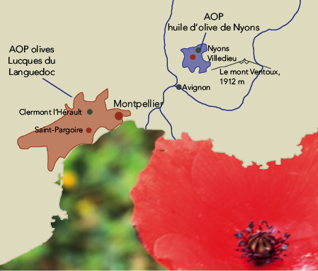 rencontre saint pargoire